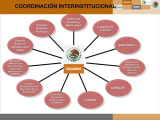 Comités
Sistemas
Producto
Consejo
Nacional
Agropecuario
(CNA)
Asociación
Mexicana de
Secretarios de
Desarrollo
Agropecuario
(AMSDA)
Consejo
Mexicano para el
Desarrollo Rural
Sustentable
Conferencia
Nacional de
Gobernadores
(CONAGO)
CONASA
CONACOFI
Organismos
Auxiliares de
Sanidad Vegetal,
Animal y
Acuícola
BANCOMEXT
Congreso de
la Unión
Gobiernos
Estatales y
Municipales
COORDINACIÓN INTERINSTITUCIONAL
 