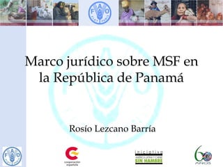 Marco jurídico sobre MSF en
la República de Panamá
Rosío Lezcano Barría
 