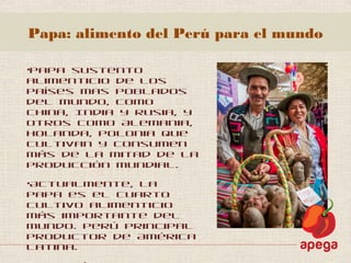 Papa: alimento del Perú para el mundo
•Papa sustento
alimenticio de los
países mas poblados
del mundo, como
China, India y Rusia, y
otros como Alemania,
Holanda, Polonia que
cultivan y consumen
más de la mitad de la
producción mundial.
•Actualmente, la
papa es el cuarto
cultivo alimenticio
más importante del
mundo. Perú principal
productor de América
Latina.
 