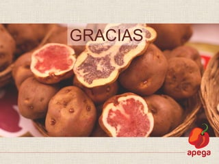 GRACIAS
 