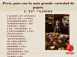 Cronista Pedro
Cieza de León,
asombrado de
variedades de
papas que
cultivaban y
consumían los
antiguos
peruanos:
“redondas,
alargadas,
blancas,
amarillas,
moradas”.
Asombro se
repite en
Perú, país con la más grande variedad de
papas.
CIP 4,000
 