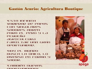 Gastón Acurio: Agricultura Boutique
•Esta infinita
variedad de papas
con singulares
sabores abren
para el Perú y LA
PEQUEÑA
AGRICULTURA
FAMILIAR una gran
oportunidad.
•Hoy el mundo
busca la único, lo
diverso en forma y
sabor.
•También nuevas
 