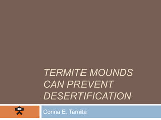 TERMITE MOUNDS
CAN PREVENT
DESERTIFICATION
Corina E. Tarnita
 