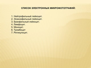 СПИСОК ЭЛЕКТРОННЫХ МИКРОФОТОГРАФИЙ: 
1. Нейтрофильный лейкоцит. 
2. Эозинофильный лейкоцит. 
3. Базофильный лейкоцит. 
4. Лимфоцит. 
5. Моноцит. 
6. Тромбоцит 
7. Ретикулоцит. 
 