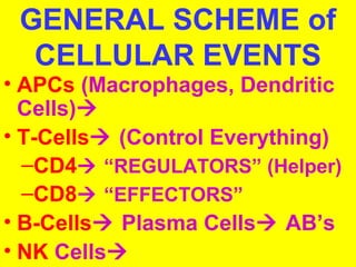 GENERAL SCHEME of 
CELLULAR EVENTS 
• APCs (Macrophages, Dendritic 
Cells) 
• T-Cells (Control Everything) 
–CD4 “REGULATORS” (Helper) 
–CD8 “EFFECTORS” 
• B-Cells Plasma Cells AB’s 
• NK Cells 
 