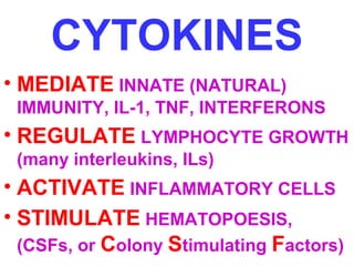 CYTOKINES 
• MEDIATE INNATE (NATURAL) 
IMMUNITY, IL-1, TNF, INTERFERONS 
• REGULATE LYMPHOCYTE GROWTH 
(many interleukins, ILs) 
• ACTIVATE INFLAMMATORY CELLS 
• STIMULATE HEMATOPOESIS, 
(CSFs, or Colony Stimulating Factors) 
 