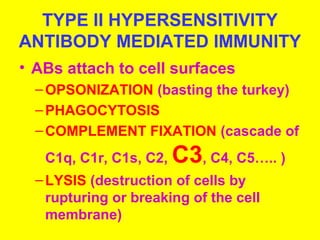 TYPE II HYPERSENSITIVITY 
ANTIBODY MEDIATED IMMUNITY 
• ABs attach to cell surfaces 
–OPSONIZATION (basting the turkey) 
–PHAGOCYTOSIS 
–COMPLEMENT FIXATION (cascade of 
C1q, C1r, C1s, C2, C3, C4, C5….. ) 
–LYSIS (destruction of cells by 
rupturing or breaking of the cell 
membrane) 
 