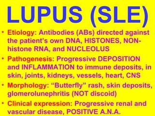 LUPUS (SLE) 
• Etiology: Antibodies (ABs) directed against 
the patient’s own DNA, HISTONES, NON-histone 
RNA, and NUCLEOLUS 
• Pathogenesis: Progressive DEPOSITION 
and INFLAMMATION to immune deposits, in 
skin, joints, kidneys, vessels, heart, CNS 
• Morphology: “Butterfly” rash, skin deposits, 
glomerolunephritis (NOT discoid) 
• Clinical expression: Progressive renal and 
vascular disease, POSITIVE A.N.A. 
 