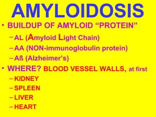 AMYLOIDOSIS 
• BUILDUP OF AMYLOID “PROTEIN” 
–AL (Amyloid Light Chain) 
–AA (NON-immunoglobulin protein) 
–Aß (Alzheimer’s) 
• WHERE? BLOOD VESSEL WALLS, at first 
– KIDNEY 
– SPLEEN 
– LIVER 
– HEART 
 
