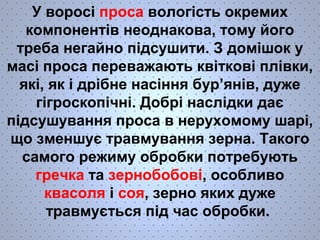 У воросі проса вологість окремих 
компонентів неоднакова, тому його 
треба негайно підсушити. З домішок у 
масі проса переважають квіткові плівки, 
які, як і дрібне насіння бур’янів, дуже 
гігроскопічні. Добрі наслідки дає 
підсушування проса в нерухомому шарі, 
що зменшує травмування зерна. Такого 
самого режиму обробки потребують 
гречка та зернобобові, особливо 
квасоля і соя, зерно яких дуже 
травмується під час обробки. 
 