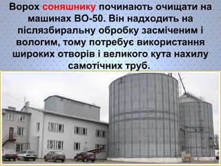 Ворох соняшнику починають очищати на 
машинах ВО-50. Він надходить на 
післязбиральну обробку засміченим і 
вологим, тому потребує використання 
широких отворів і великого кута нахилу 
самотічних труб. 
 