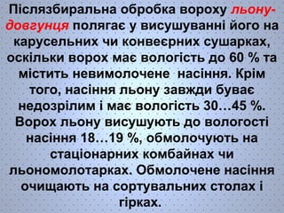 Післязбиральна обробка вороху льону- 
довгунця полягає у висушуванні його на 
карусельних чи конвеєрних сушарках, 
оскільки ворох має вологість до 60 % та 
містить невимолочене насіння. Крім 
того, насіння льону завжди буває 
недозрілим і має вологість 30…45 %. 
Ворох льону висушують до вологості 
насіння 18…19 %, обмолочують на 
стаціонарних комбайнах чи 
льономолотарках. Обмолочене насіння 
очищають на сортувальних столах і 
гірках. 
 