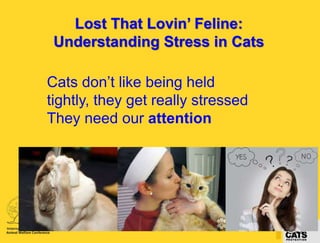 Lost That Lovin’ Feline: 
Understanding Stress in Cats 
Cats don’t like being held 
tightly, they get really stressed 
They need our attention 
Maggie Roberts and Nicky Trevorrow 
Cats Protection 
 