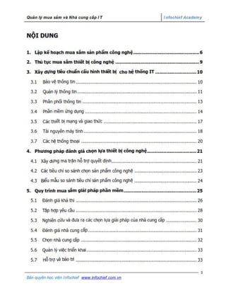 6. infochief practical it procurement plan guidance