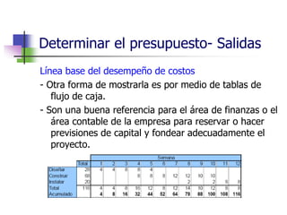 Determinar el presupuesto- Salidas 
Línea base del desempeño de costos 
- Otra forma de mostrarla es por medio de tablas de 
flujo de caja. 
- Son una buena referencia para el área de finanzas o el 
área contable de la empresa para reservar o hacer 
previsiones de capital y fondear adecuadamente el 
proyecto. 
 