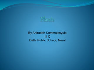 By Aniruddh Kommajosyula 
III C 
Delhi Public School, Nerul 
 