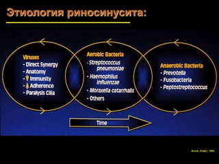 Этиология риносинусита: 
Brook, ICAAC, 1995 
 