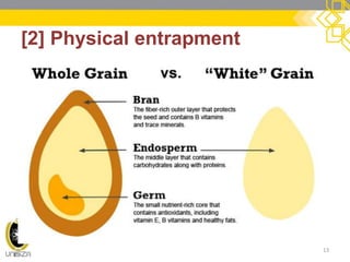 [2] Physical entrapment 
13  