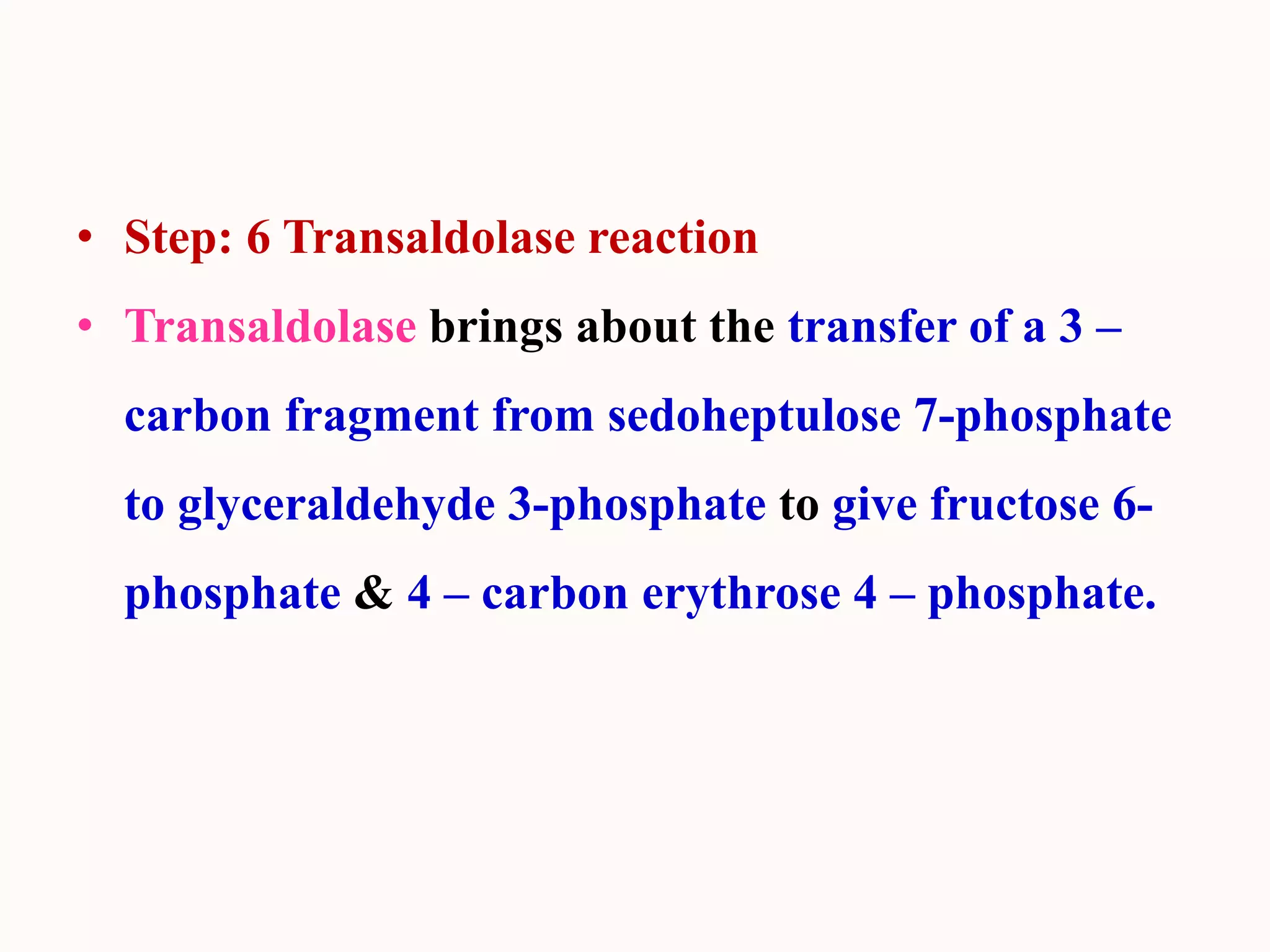 • Step: 6 Transaldolase reaction
• Transaldolase brings about the transfer of a 3 –
carbon fragment from sedoheptulose 7-phosphate
to glyceraldehyde 3-phosphate to give fructose 6-
phosphate & 4 – carbon erythrose 4 – phosphate.
 