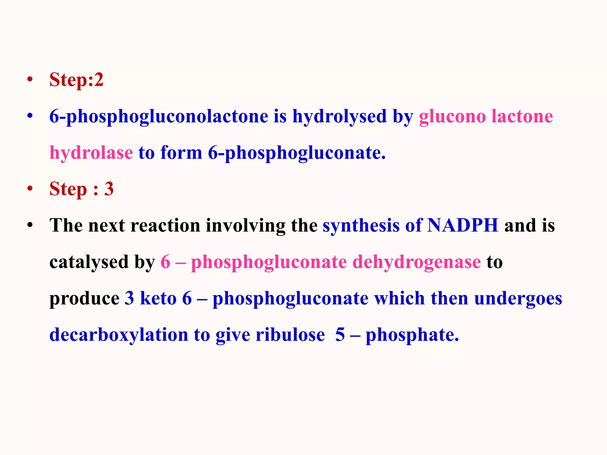 • Step:2
• 6-phosphogluconolactone is hydrolysed by glucono lactone
hydrolase to form 6-phosphogluconate.
• Step : 3
• The next reaction involving the synthesis of NADPH and is
catalysed by 6 – phosphogluconate dehydrogenase to
produce 3 keto 6 – phosphogluconate which then undergoes
decarboxylation to give ribulose 5 – phosphate.
 