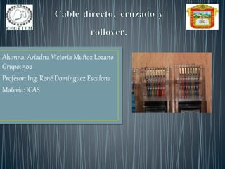 Alumna: Ariadna Victoria Muñoz Lozano
Grupo: 502
Profesor: Ing. René Domínguez Escalona
Materia: ICAS
 