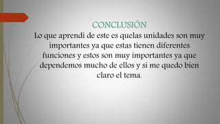 CONCLUSIÓN
Lo que aprendí de este es quelas unidades son muy
importantes ya que estas tienen diferentes
funciones y estos son muy importantes ya que
dependemos mucho de ellos y si me quedo bien
claro el tema.
 
