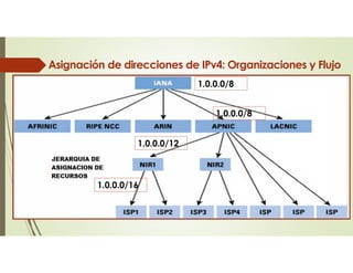 1.0.0.0/8
1.0.0.0/8
1.0.0.0/12
1.0.0.0/16
Asignación de direcciones de IPv4: Organizaciones y Flujo
 