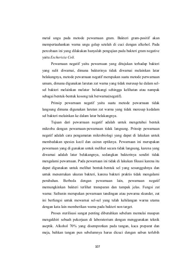 Laporan Mikrobiologi Teknik Pewarnaan Mikroorganisme