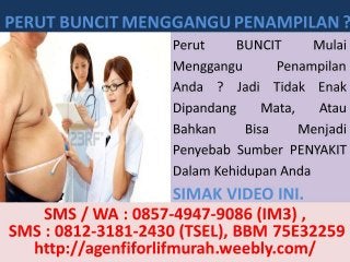 Agen Fiforlif Bengkulu, 0812-3181-2430 (TSel), Beli Fiforlif Bengkulu, Jual Fiforlif Bengkulu