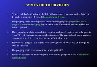SYMPATHETIC DIVISION
1. Neuron cell bodies located in the lateral horn spinal cord gray matter between
T1 and L2 segments  called thoracolumbar division
2. The preganglionic neuron project to autonomic ganglia (sympathetic chain
ganglia = paravertebral ganglia) on either side of vertebral column behind the
parietal pleural
3. The sympathetic chain extends into cervical and sacral regions but only ganglia
from T1 – L2 that receive preganglionic axons. The cervical and sacral regions
is associated with the nearly every pair of spinal nerves
4. The cervical ganglia fuse during fetal development  only two or three pairs
exist in the adult
5. The preganglionic neuron are small and myelinated
6. The short connection between spinal nerve and a ganglion called white ramus
communicants
 