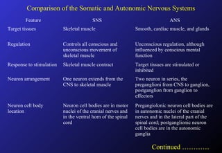 Comparison of the Somatic and Autonomic Nervous Systems
Feature SNS ANS
Target tissues Skeletal muscle Smooth, cardiac muscle, and glands
Regulation Controls all conscious and
unconscious movement of
skeletal muscle
Unconscious regulation, although
influenced by conscious mental
function
Response to stimulation Skeletal muscle contract Target tissues are stimulated or
inhibited
Neuron arrangement One neuron extends from the
CNS to skeletal muscle
Two neuron in series, the
preganglioni from CNS to ganglion,
postganglion from ganglion to
effectors
Neuron cell body
location
Neuron cell bodies are in motor
nuclei of the cranial nerves and
in the ventral horn of the spinal
cord
Pregangiolonic neuron cell bodies are
in autonomic nuclei of the cranial
nerves and in the lateral part of the
spinal cord; postganglionic neuron
cell bodies are in the autonomic
ganglia
Continued …………
 