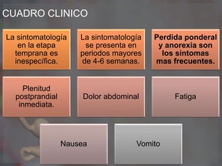 CUADRO CLINICO
La sintomatología
en la etapa
temprana es
inespecífica.
La sintomatología
se presenta en
periodos mayores
de 4-6 semanas.
Perdida ponderal
y anorexia son
los síntomas
mas frecuentes.
Plenitud
postprandial
inmediata.
Dolor abdominal Fatiga
Nausea Vomito
 