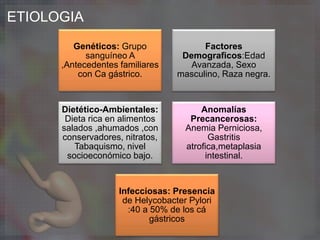 ETIOLOGIA
Genéticos: Grupo
sanguíneo A
,Antecedentes familiares
con Ca gástrico.
Factores
Demograficos:Edad
Avanzada, Sexo
masculino, Raza negra.
Dietético-Ambientales:
Dieta rica en alimentos
salados ,ahumados ,con
conservadores, nitratos,
Tabaquismo, nivel
socioeconómico bajo.
Anomalías
Precancerosas:
Anemia Perniciosa,
Gastritis
atrofica,metaplasia
intestinal.
Infecciosas: Presencia
de Helycobacter Pylori
:40 a 50% de los cá
gástricos
 