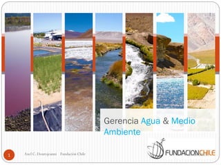 Gerencia Agua & Medio
Ambiente
01-04-20131 Axel C. Dourojeanni Fundación Chile
 