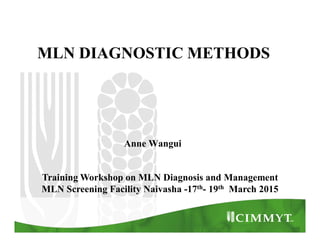 MLN DIAGNOSTIC METHODS
Anne Wangui
Training Workshop on MLN Diagnosis and Management
MLN Screening Facility Naivasha -17th- 19th March 2015
 