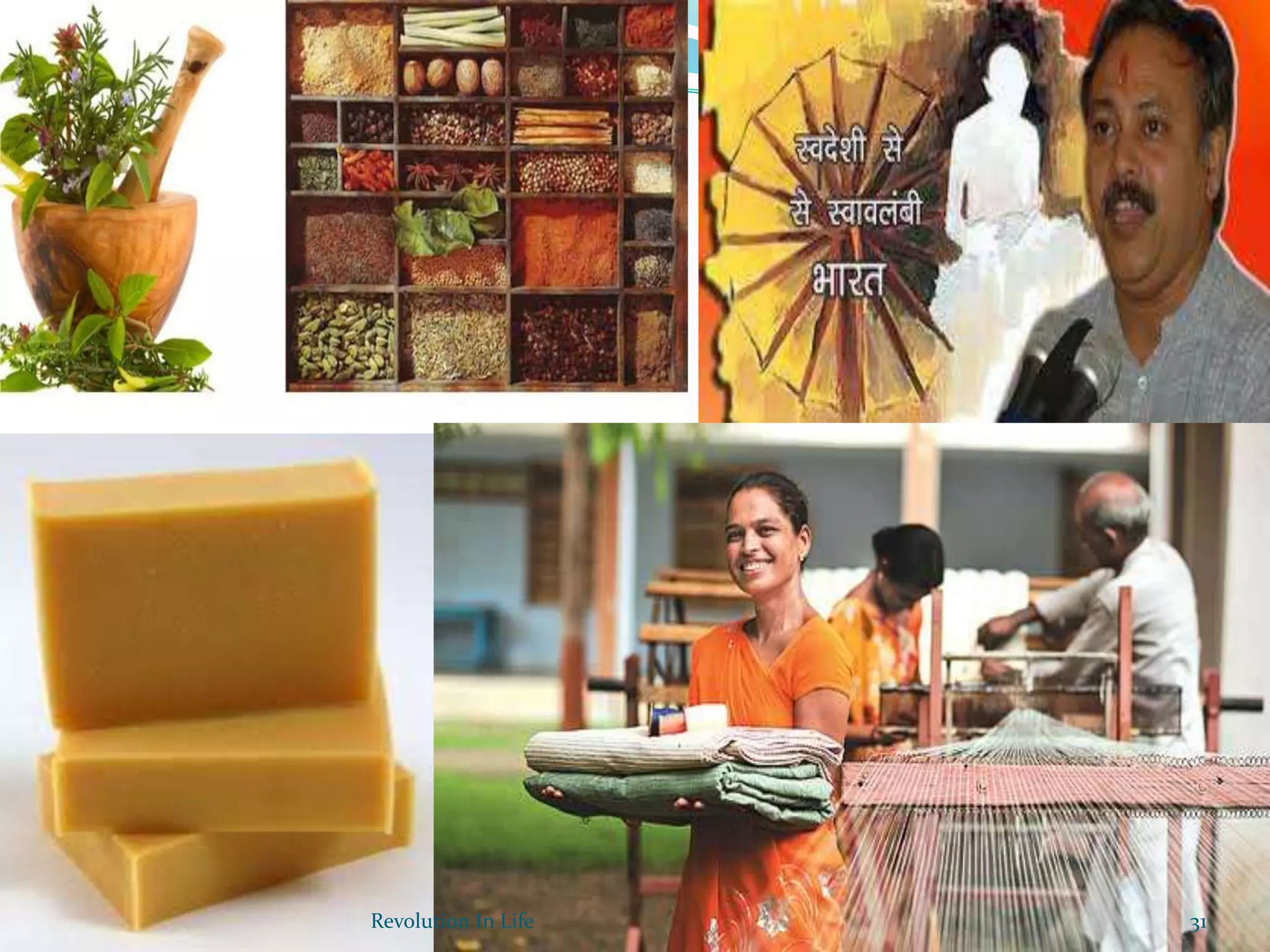 31Revolution In Life
 