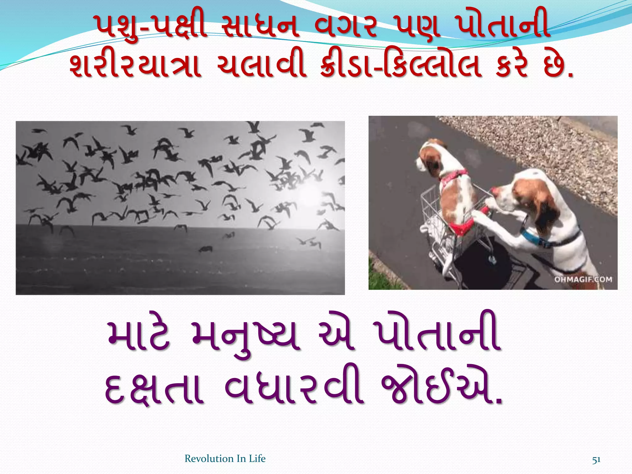 પશ-પક્ષી સાધન વગર પણ પોતાની
શરીરયાત્રા ચલાવી ક્રીડા-રકલ્લોલ કરે છે.
માટે મનુષ્ય એ પોતાની
દક્ષતા વધારવી જોઈએ.
51Revolution In Life
 