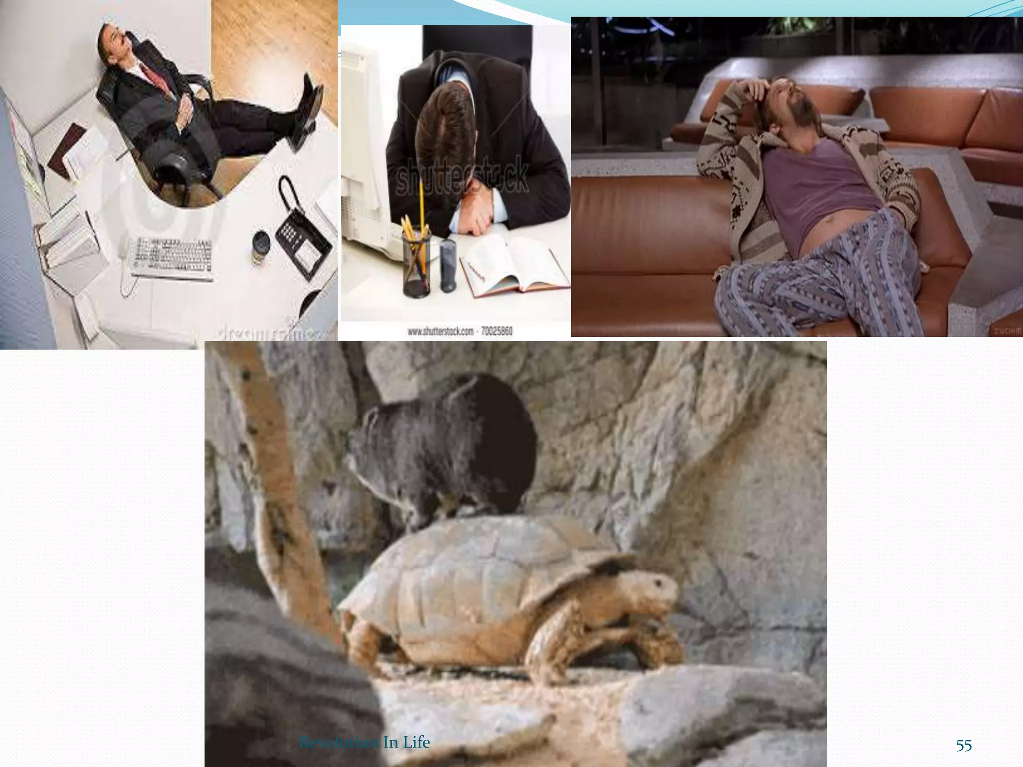 55Revolution In Life
 