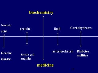13
biochemistry
Nucleic
acid
protein lipid Carbohydrates
Genetic
disease
Sickle cell
anemia
medicine
arteriosclerosis Diabetes
mellitus
 
