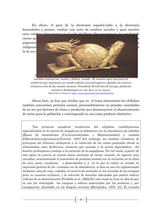 2
En efecto, el paso de la dicotomía español-indio a la dicotomía
hacendados y peones, tradujo una serie de cambios sociales y para nuestro
caso, cambios alimentarios en el valle de Ubaté. De esta manera, la sociedad de
castas que se consolidó por diferencias raciales y de fenotipo, configuraron una
pigmentocracia reflejada en la dicotomía español- indio que relego a nuestros
indígenas al plano de las castas inferiores, cuya función social en principio era
la de ser esclavo del encomendero.
Según González de Pérez [1987], la palabra Bochica estaría formada por los
vocablos muiscas boi, manta y chihica, venado . Se muestra aquí una pieza de
orfebrería que representa un venado sedente cuya piel aparece signada con motivos
similares a los de las mantas muiscas. Procedente de Cármen de Carupa, población
cercana a Sutatausa[Cortés,1990. Museo del Oro, Bogotá].
Disponible en internet en: http://www.rupestreweb.info/sutatextil.html
Ahora bien, no hay que olvidar que en el tema alimentario los chibchas
también consumían proteína animal, presumiblemente en grandes cantidades
de no ser por factores de clima y predación que disminuyeron el abastecimiento
de carne para la población y restringiendo su uso como producto distintivo.
“Los primeros cazadores recolectores del altiplano cundiboyacense
especializados en la cacería de megafauna se deleitaron con la abundancia de caballos
[Equss A] mastodontes [Cuvieroniushyodon y Haplomastodon] y venados
[Odocoloileusvirginiaunus].[Correal, 1981] Sin embargo, los cambios climáticos de
principios del holoceno condujeron a la reducción de los vastos pastizales donde se
alimentaban estos herbívoros, situación que aunada a la acción depredadora del
hombre prehispánico condujo a la extinción de la megafauna. Por tal razón, a partir de
esta época la caceria se oriento hacia animales de menor tamaño, de especies muy
variadas, suministrando el suministro de proteína animal con la inclusión en la dieta
de aves, peces, crustáceos y gasterópodos […] en lo que se refiere al venado, la
impresión general de los cronistas era de abundancia, si bien su uso era reglamentado
mediante cotos de caza, vedados, el encierro de animales en los cercados de los caciques
para su consumo exclusivo, y la selección de tamaños adecuados que podría indicar
indicios de su domesticación [Pradilla et al, 1962].Por esta razón se tiene la idea de que
su uso fue restringido los caciques y señores autorizados por los primeros y, por
consiguiente, abundaba en los bosques cercanos [Hernández, 1978: 41]. El cronista
 