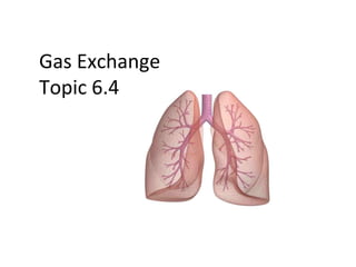Gas Exchange
Topic 6.4
 