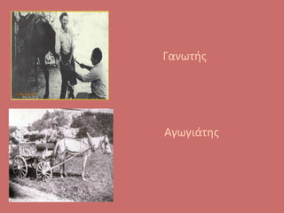 Γανωτής
Αγωγιάτης
 