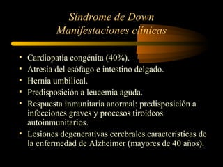 Síndrome de Down
Manifestaciones clínicas
• Cardiopatía congénita (40%).
• Atresia del esófago e intestino delgado.
• Hernia umbilical.
• Predisposición a leucemia aguda.
• Respuesta inmunitaria anormal: predisposición a
infecciones graves y procesos tiroideos
autoinmunitarios.
• Lesiones degenerativas cerebrales características de
la enfermedad de Alzheimer (mayores de 40 años).
 