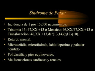 Síndrome de Patau
• Incidencia de 1 por 15,000 nacimientos.
• Trisomía 13: 47,XX,+13 o Mosaico: 46,XX/47,XX,+13 o
Translocación: 46,XX,+13,der(13,14)(q12,q10).
• Retardo mental.
• Microcefalia, microftalmía, labio leporino y paladar
hendido.
• Polidactilia y pies equinovaros.
• Malformaciones cardíacas y renales.
 