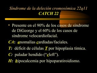 Síndrome de la deleción cromosómica 22q11
CATCH 22
• Presente en el 90% de los casos de síndrome
de DiGeorge y el 60% de los casos de
síndrome velocardiofacial.
CA: anomalías cardíadas/faciales.
T: déficit de células T por hipoplasia tímica.
C: paladar hendido (“cleft”).
H: hipocalcemia por hipoparatiroidismo.
 