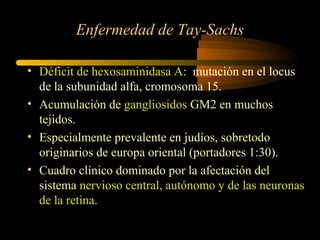Enfermedad de Tay-Sachs
• Déficit de hexosaminidasa A: mutación en el locus
de la subunidad alfa, cromosoma 15.
• Acumulación de gangliosidos GM2 en muchos
tejidos.
• Especialmente prevalente en judíos, sobretodo
originarios de europa oriental (portadores 1:30).
• Cuadro clínico dominado por la afectación del
sistema nervioso central, autónomo y de las neuronas
de la retina.
 