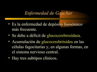 Enfermedad de Gaucher
• Es la enfermedad de depósito lisosómico
más frecuente.
• Se debe a déficit de glucocerebrosidasa.
• Acumulación de glucocerebrósidos en las
células fagocitarias y, en algunas formas, en
el sistema nervioso central.
• Hay tres subtipos clínicos.
 