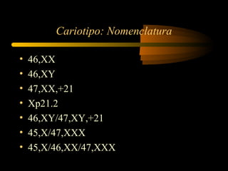 Cariotipo: Nomenclatura
• 46,XX
• 46,XY
• 47,XX,+21
• Xp21.2
• 46,XY/47,XY,+21
• 45,X/47,XXX
• 45,X/46,XX/47,XXX
 