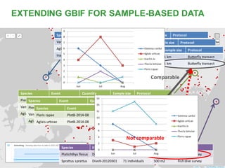 Species Event Quantity Sample size Protocol
Pieris rapae PlotB-2014-06 12 individuals 1 km Butterfly transect
Vanessa cardui PlotB-2014-06 8 individuals 1 km Butterfly transect
Aglais urticae PlotB-2014-06 3 individuals 1 km Butterfly transect
Species Event Quantity Sample size Protocol
Vanessa cardui PlotA-2014-06 6 individuals 1 km Butterfly transect
Aglais urticae PlotA-2014-06 4 individuals 1 km Butterfly transect
Inachis io PlotA-2014-06 1 individual 1 km Butterfly transect
Species Event Quantity Sample size Protocol
Pieris rapae PlotB-2014-07 15 individuals 1 km Butterfly transect
Vanessa cardui PlotB-2014-07 4 individuals 1 km Butterfly transect
Aglais urticae PlotB-2014-07 1 individuals 1 km Butterfly transect
Species Event Quantity Sample size Protocol
Pieris rapae PlotB-2014-08 8 individuals 1 km Butterfly transect
Aglais urticae PlotB-2014-08 2 individuals 1 km Butterfly transect
Species Event Quantity Sample size Protocol
Platichthys flesus DiveX-20120301 3 individuals 500 m2 Fish dive survey
Sprattus sprattus DiveX-20120301 71 individuals 500 m2 Fish dive survey
Species Event Quantity Sample size Protocol
Vanessa cardui PlotA-2014-07 3 individuals 1 km Butterfly transect
Aglais urticae PlotA-2014-07 8 individuals 1 km Butterfly transect
Thecla betulae PlotA-2014-07 2 individuals 1 km Butterfly transect
Species Event Quantity Sample size Protocol
Pieris rapae PlotA-2014-08 1 individuals 1 km Butterfly transect
Aglais urticae PlotA-2014-08 3 individuals 1 km Butterfly transect
Comparable
Not comparable
EXTENDING GBIF FOR SAMPLE-BASED DATA
 