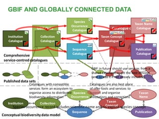 Taxon
Concept
Institution Collection
Taxon
Name
Publication
Species
Occurrence
Sequence
GBIF Data
Index
Catalogue of
Life
Conceptual biodiversity data model
Published data sets
Institution
Catalogue
Collection
Catalogue
Taxon Concept
Catalogue
Taxon Name
Catalogue
Publication
Catalogue
Species
Occurrence
Catalogue
Sequence
Catalogue
Comprehensive
service-centred catalogues
Species occurrence record includes scientific name and no explicit species concept
GBIF in future should use services from a
shared catalogue to get the best concept
(and to add it if not already included)
Catalogues with compatible
services form an ecosystem to
organise access to distributed
biodiversity information
Catalogues are also best place
of offer tools and services to
support and organise
annotations and corrections
GBIF AND GLOBALLY CONNECTED DATA
 